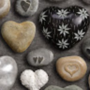 Meet your Posher, Ann